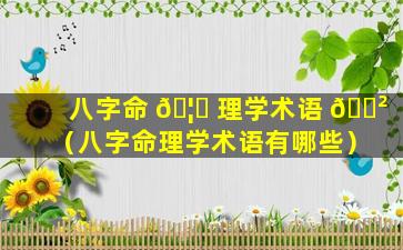 八字命 🦋 理学术语 🌲 （八字命理学术语有哪些）